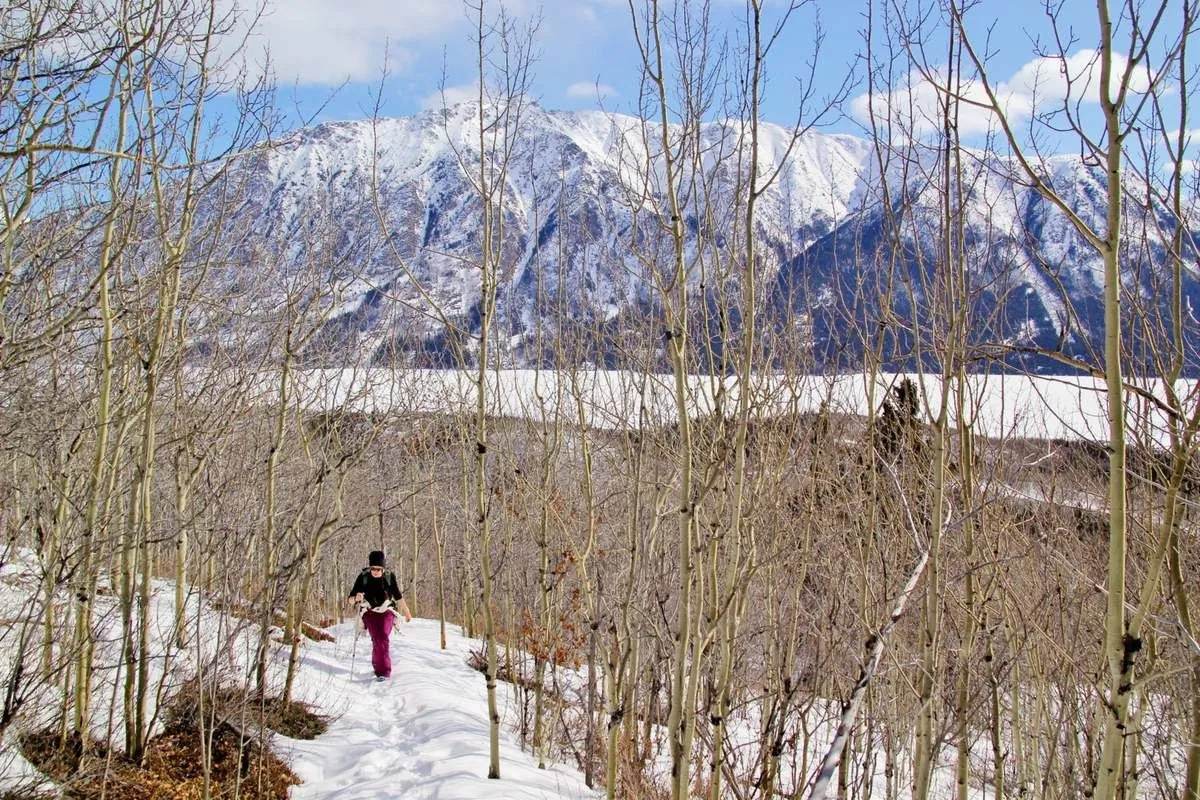 Une randonneuse marche dans les trembles enneigés, avec le lac gelé et les montagnes en arrière-plan