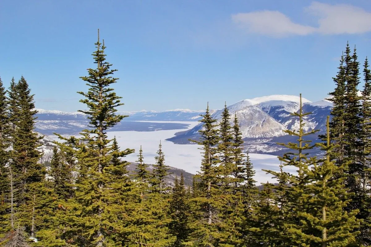 Sapins et sommets arrondis couverts de neige au-dessus d'un lac gelé, sous un ciel bleu