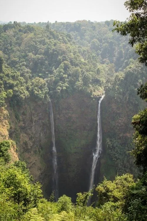 Les deux chutes de Tat Fan plongeant dans une gorge boisée du plateau des Bolovens