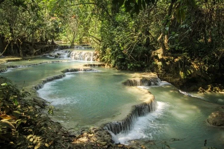 Bassins turquoise en escalier des chutes de Kuang Si, dans la forêt près de Luang Prabang
