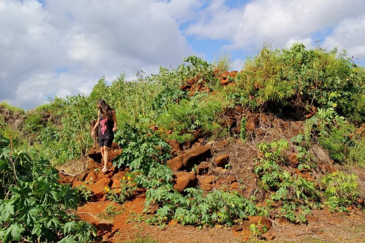 Une jeune femme descend un talus de terre rouge couvert de végétation près du fort Elizabeth, à Kaua'i