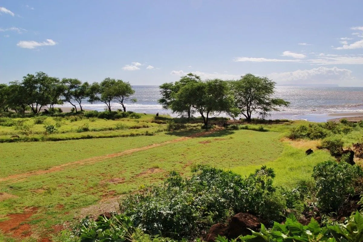 Pelouse verte et arbres en bord de mer, sous un ciel bleu, près de la plage de Kekaha à Kaua'i