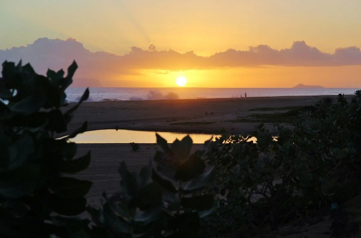 Soleil couchant sur l'océan, vu à travers les buissons du bord de plage à Kekaha, à Kaua'i