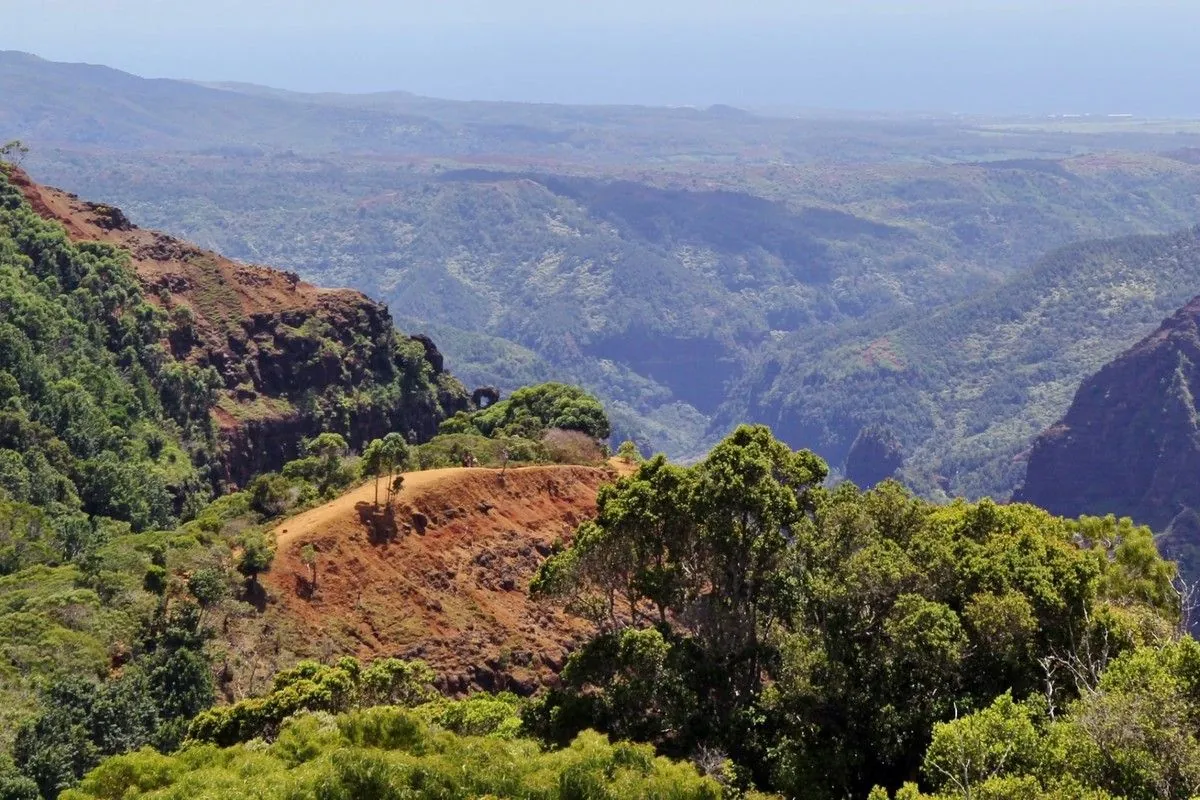Vue plongeante sur les vallées boisées du canyon de Waimea depuis le sentier de randonnée