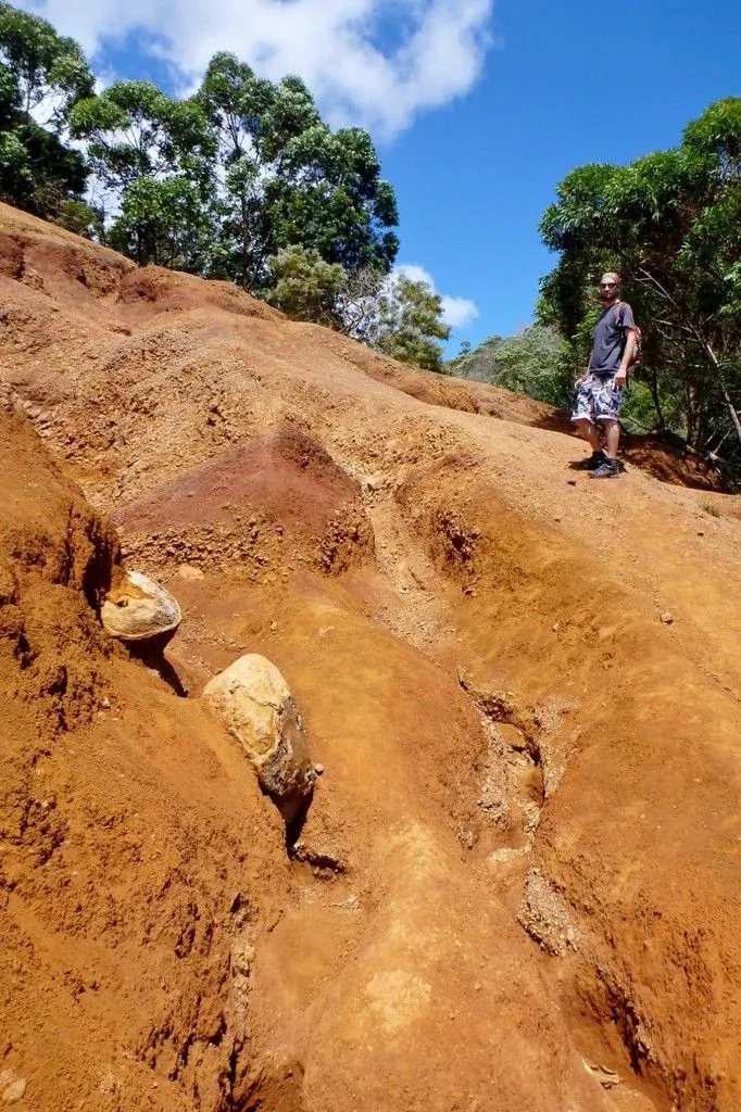 Guigui sur un sentier de terre rouge raide et érodé qui descend dans les arbres du canyon