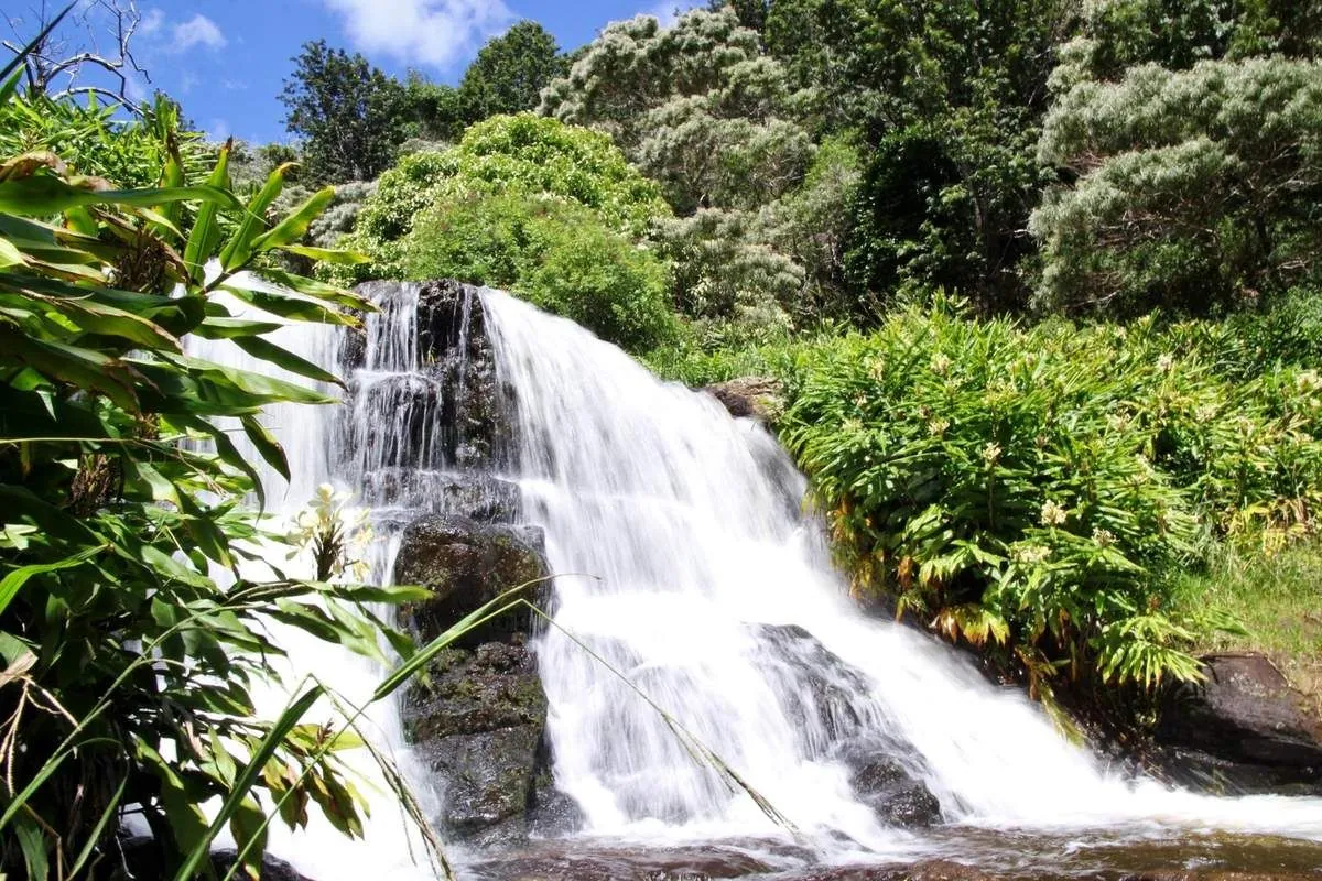 Cascade qui dévale des rochers sombres au milieu d'une végétation tropicale luxuriante, à Kaua'i