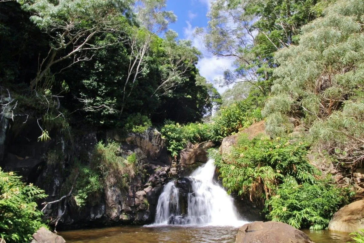Petite chute d'eau au pied de rochers et d'arbres, au bout du sentier de randonnée à Kaua'i